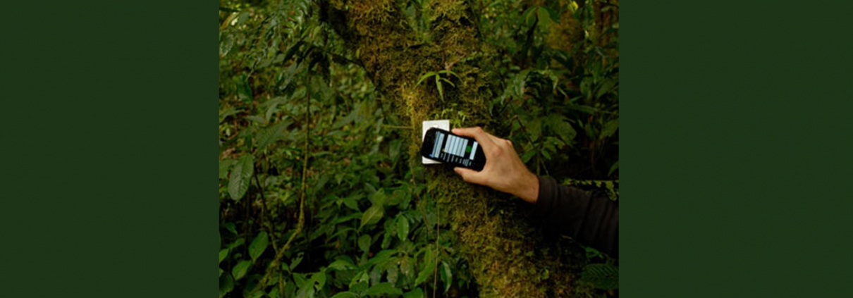 nfc tags on trees in rainforest for tracking